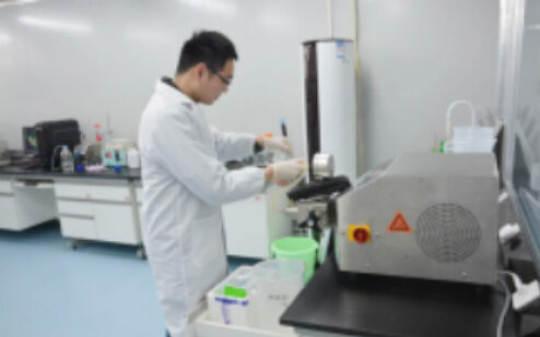 Researcher working in the biosafety cabinet area