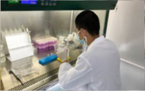 Researcher pipetting at a clean bench